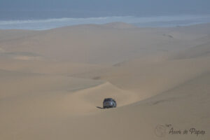 4x4 qui se dirige vers la mer dans les dunes