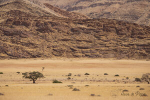 Savane et montagnes au loin
