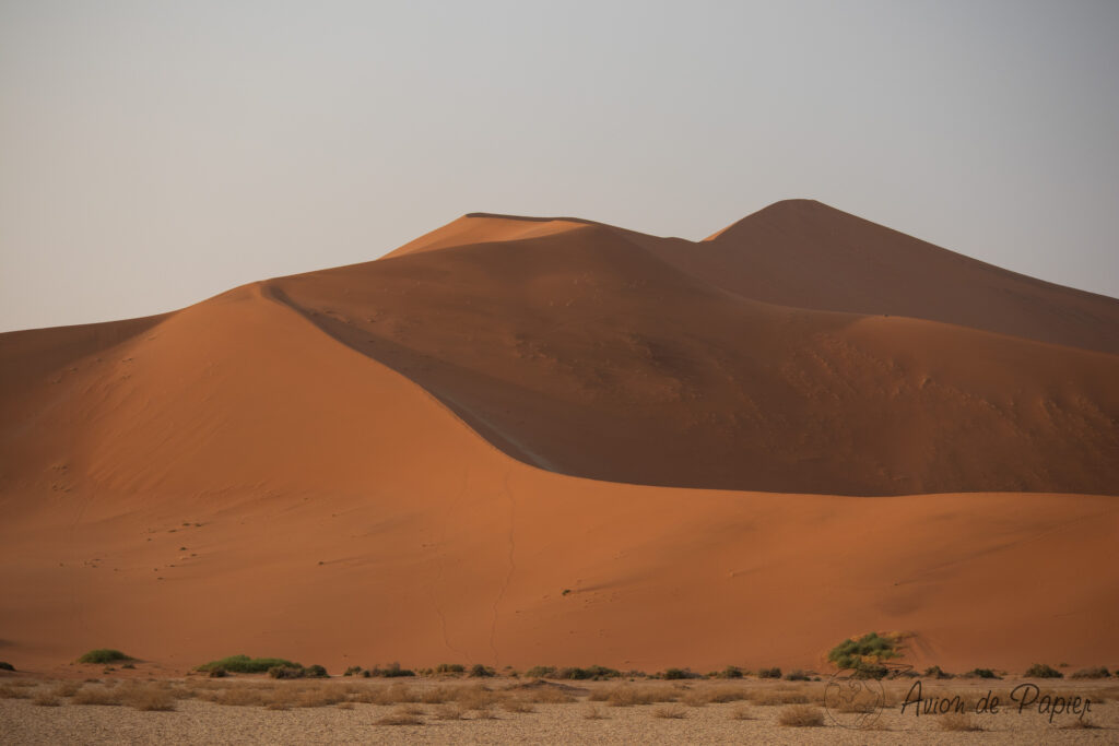 La dune Big Daddy