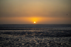 Coucher de soleil avec les flamands roses