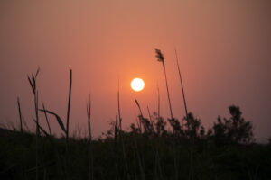 Coucher de soleil sur Palmwag