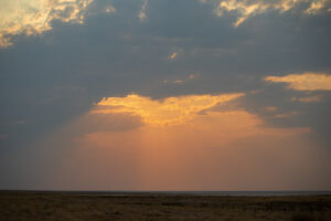 Coucher de soleil sur Etosha