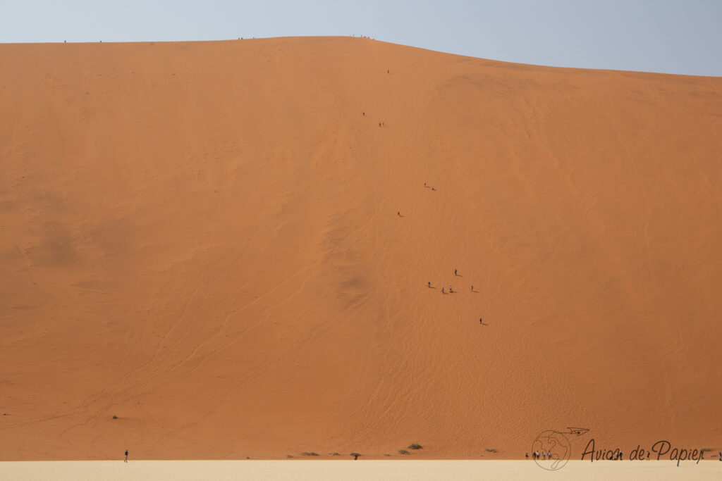 Descente de la dune Big Daddy