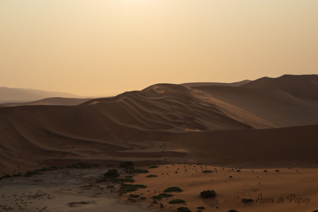 Reliefs sur les dunes