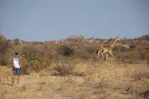 Esteban et girafe qui part