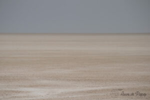 Pan d'Etosha