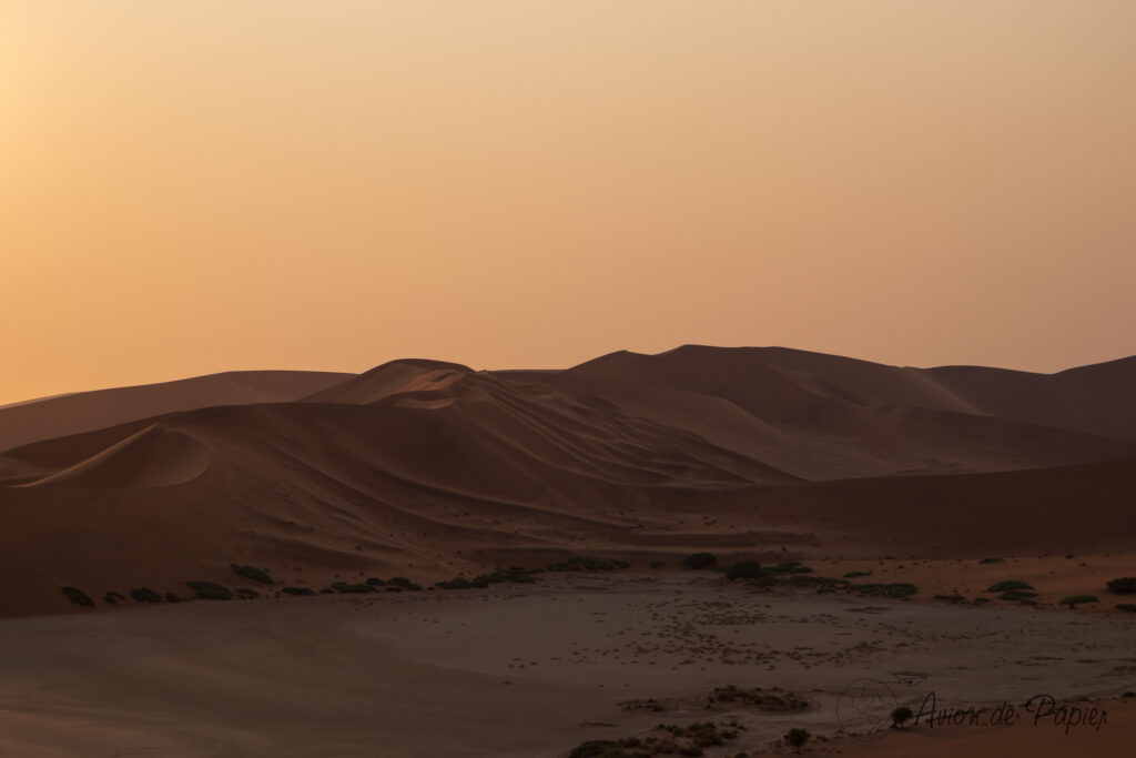 Dunes avec un dégradé de couleurs