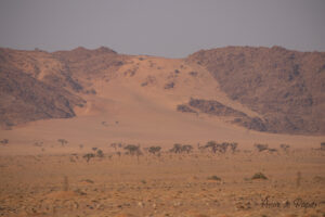 Montagne recouverte par le sable
