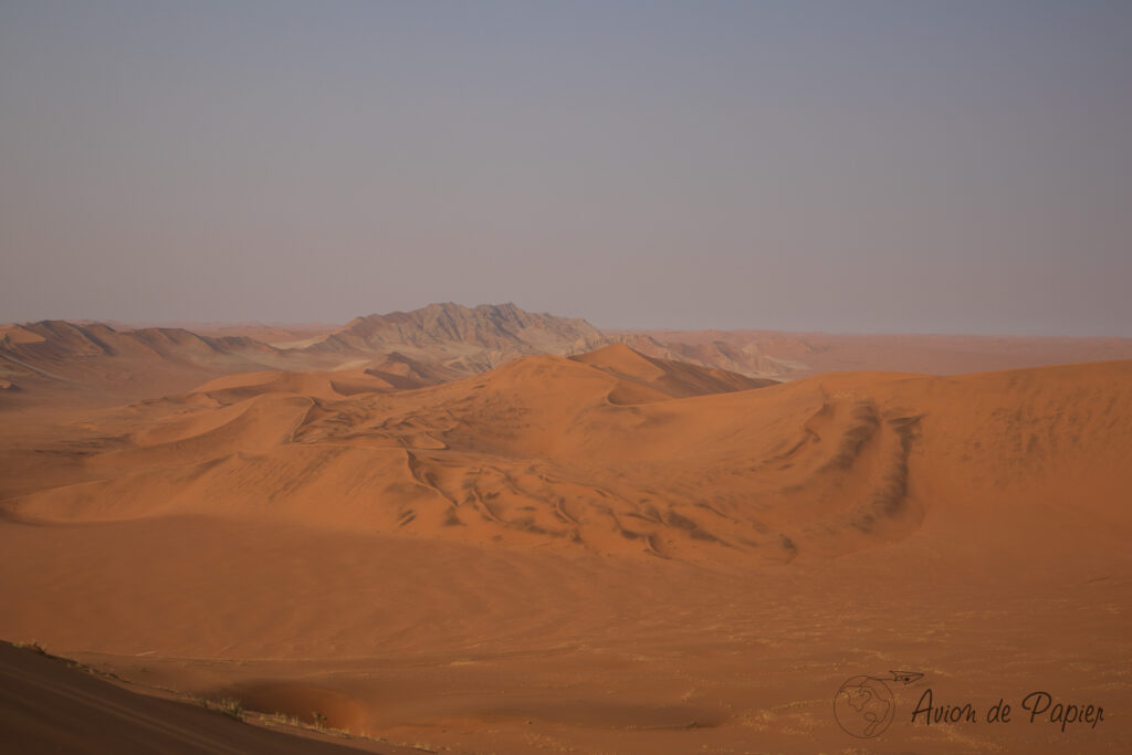 Dunes depuis le sommet de la dune Big Daddy