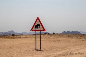 Panneau attention aux éléphants