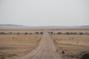 Route en ligne droitea