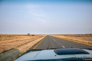 En route pour le Bagatelle Kalahari Game Ranch