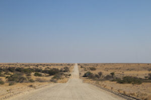 Route droite en direction de Palmwag Campsite