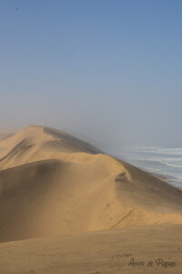 Vue des dunes et de la mer dans Sandwich Harbour