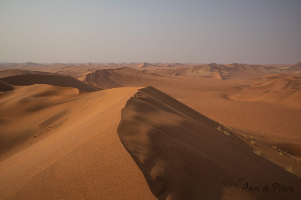 Sommet de la dune Big Daddy