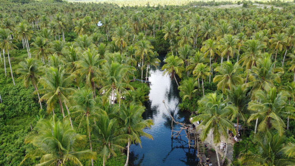 Mason River à Siargao