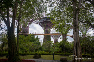 Arbres du Garden By The Bay