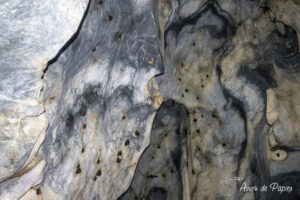 Chauves souris dans les Hill caves d'El Nido