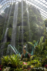 Dragon de Avatar dans le cloud forest