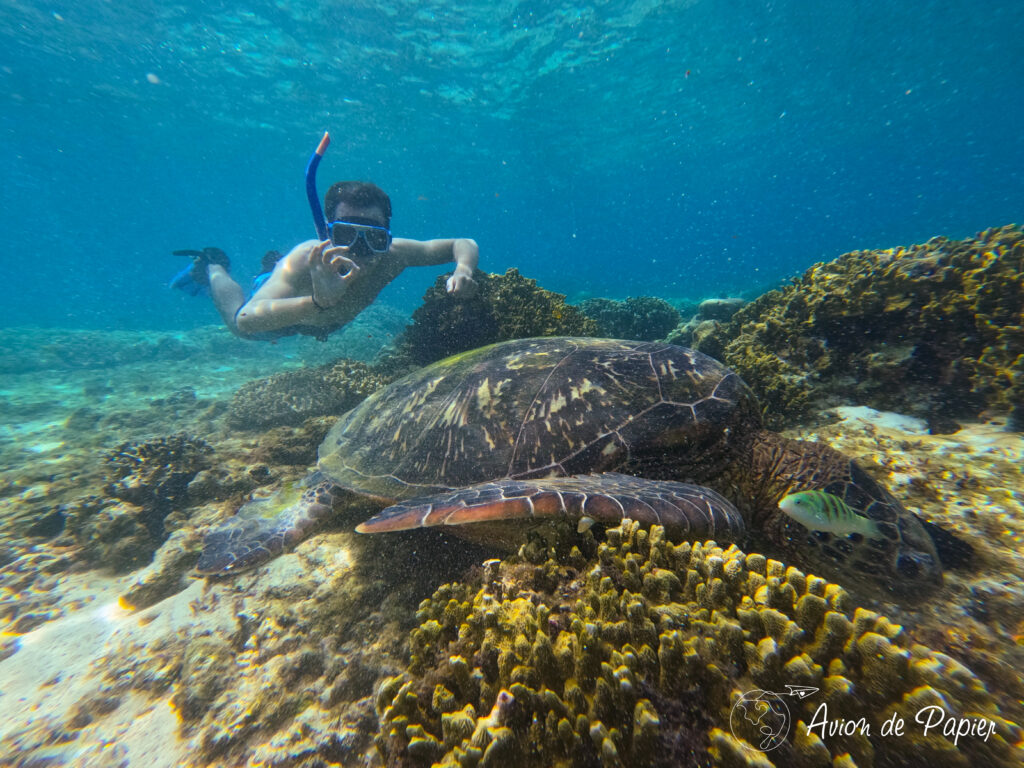 Esteban sous l'eau a Apo Island vers Siquijor