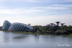 Garden By The Bay de loin