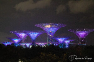 Fleurs de loin du Garden By The Bay