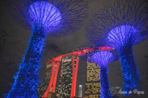 Marina Bay et fleurs du Garden By The Bay