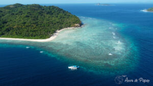 Jardin de corail en drone