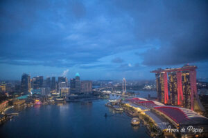 Marina Bay et quartier d'affaires depuis une restaurant en hauteur