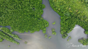 Vue drone du lagon
