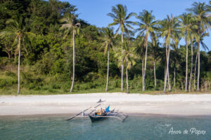 Bateau et palmiers