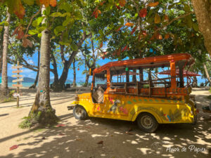 Van sur la plage de Lio