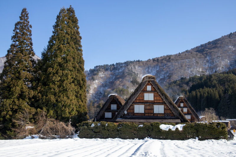 Arbres et maisons triangulaires