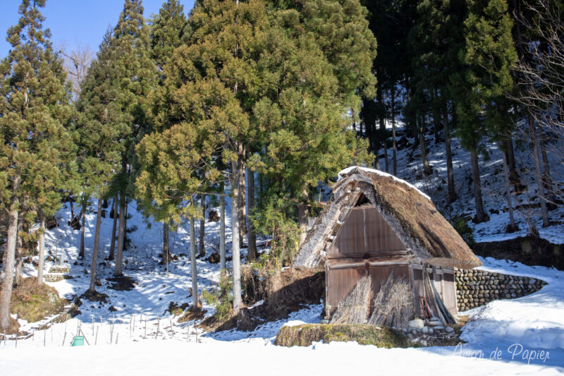 Petite maison avec foret et neige