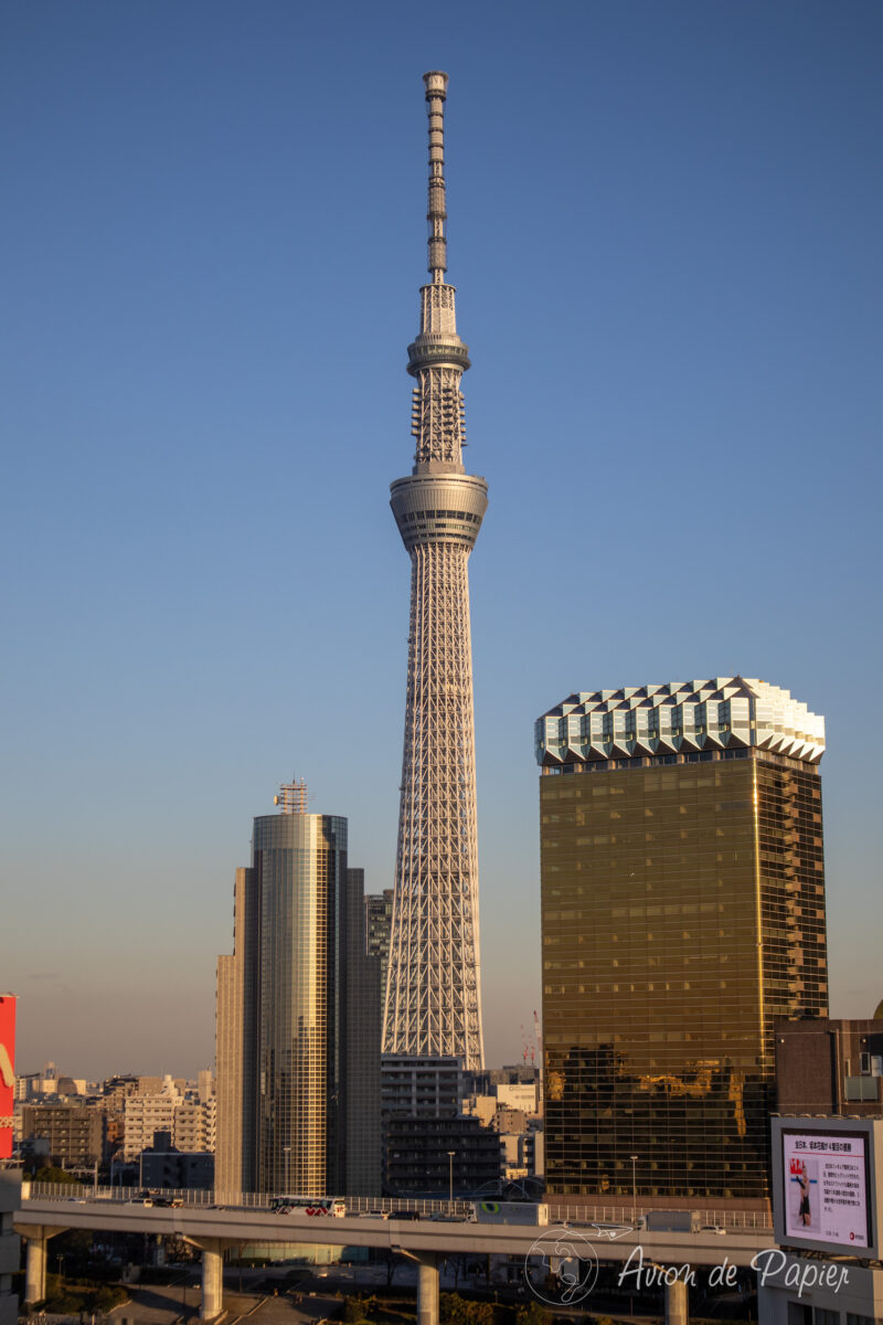 Skytree le soir de loin