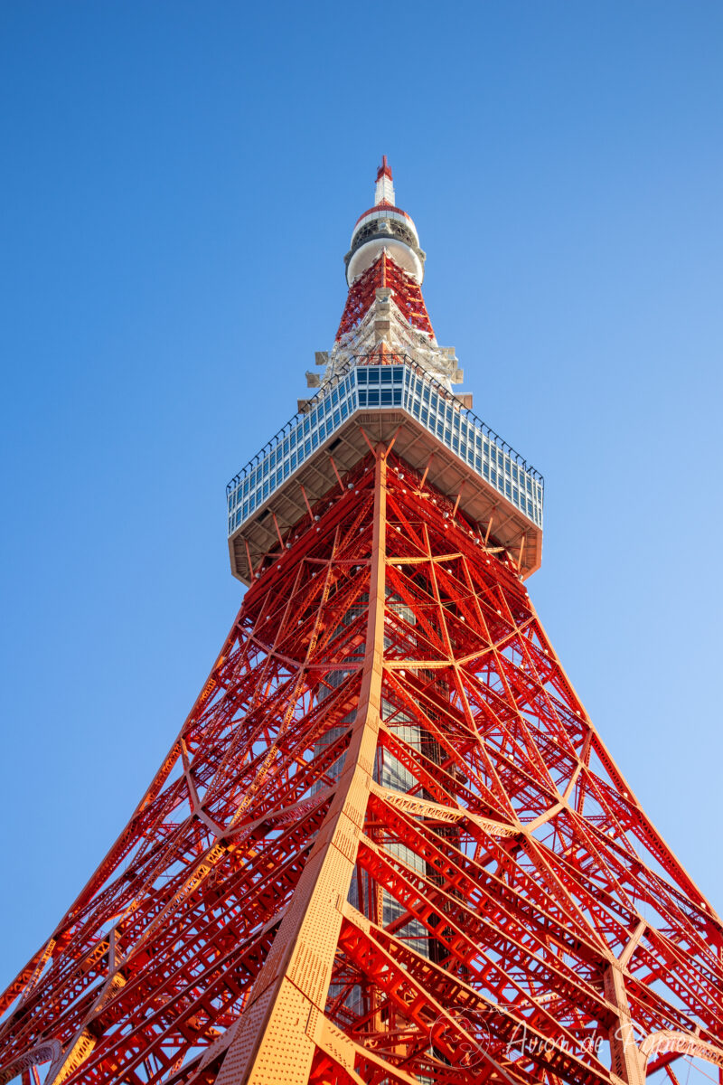 Tour de Tokyo