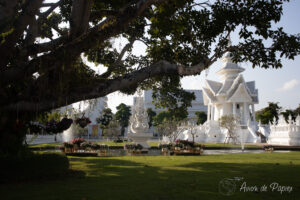 Arbre, pots de fleurs et temple blanc