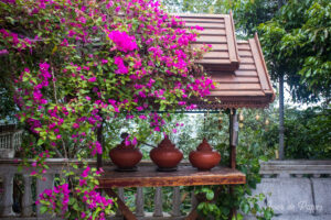 Bougainvilliers et poterie