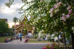 Fleurs et temple