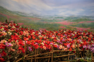 Fleurs musée opium