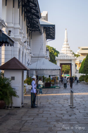 Garde palais royal avec antenne