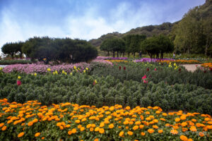 Jardin de Doi Inthanon
