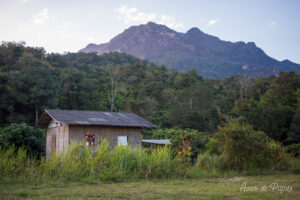 Maison en bois et montagnes