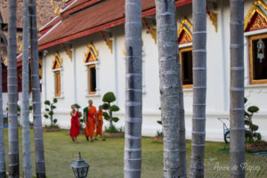 Moines à côté du temple