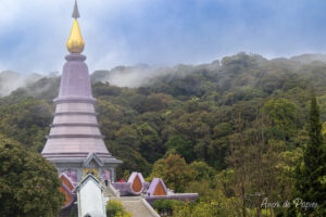 Pagode et forêt Doi Inthanon