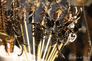 Scorpions à manger