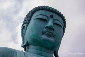 Tête de bouddha