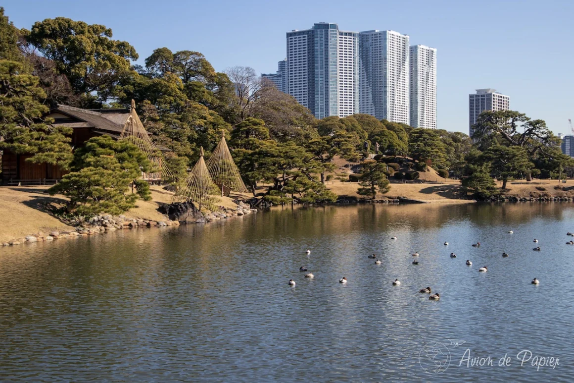 Jardin Hama Rikyu Tokyo