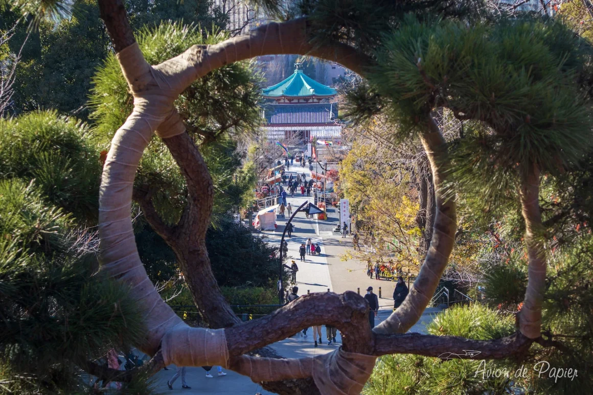 Parc de Ueno à Tokyo