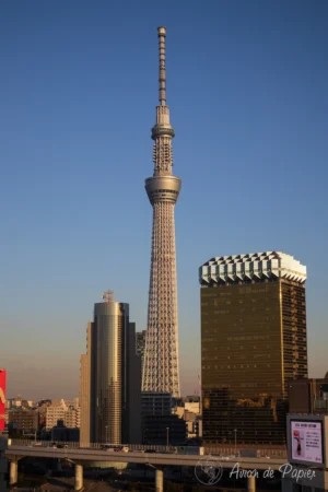 Skytree à Tokyo